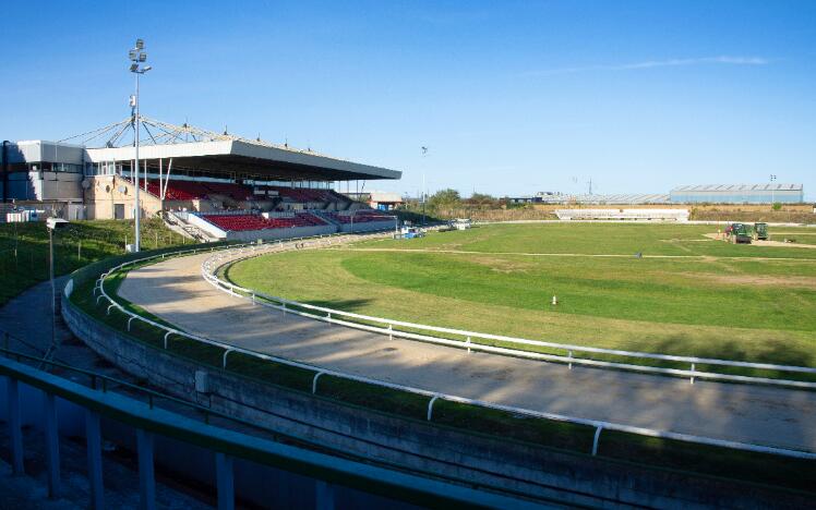 Central Park Greyhound Stadium. Photo: Steve Nash.